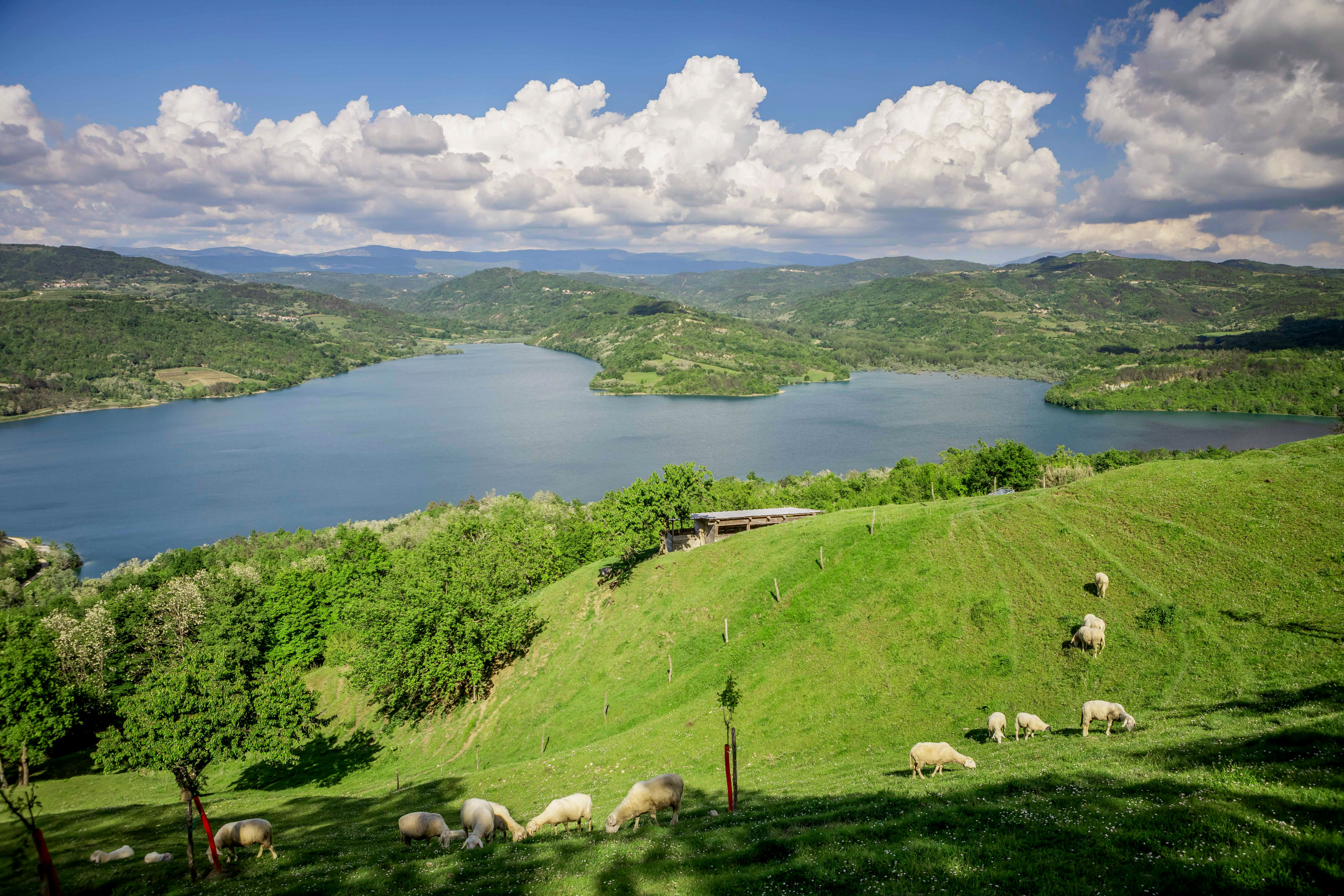 Središnja Istra u kolovozu ostvarila 14,3% više turističkih dolazaka nego prethodne godine